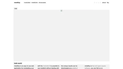 Screenshot preview of metaflop.com