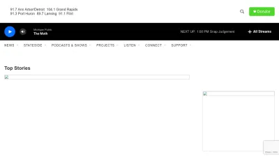 Screenshot of Michiganpublic.org