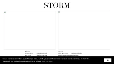 Screenshot preview of stormmanagement.com