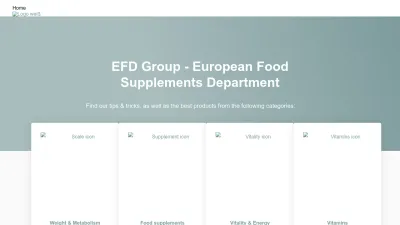 Screenshot preview of efdgroup.eu