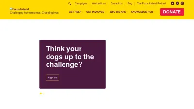 Screenshot preview of focusireland.ie