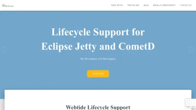 Screenshot preview of webtide.com