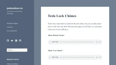 Screenshot preview of petenelson.io