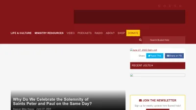 Screenshot preview of bustedhalo.com