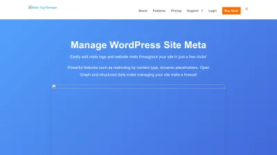 Screenshot preview of metatagmanager.com