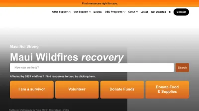 Screenshot preview of mauinuistrong.info
