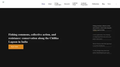Screenshot preview of plaas.org.za