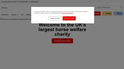 Screenshot preview of redwings.org.uk