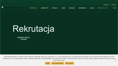 Screenshot preview of up.lublin.pl