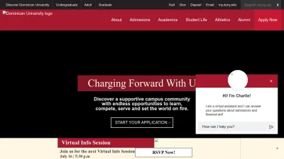 Screenshot preview of duny.edu