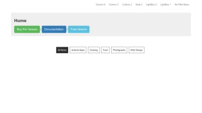 Screenshot preview of portfolio.themescode.com
