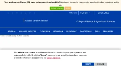 Screenshot preview of avocado.ucr.edu