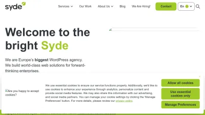 Screenshot of Syde.com